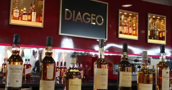 Diageo North America'nın yeni CMO'su Sebnem Erim oldu